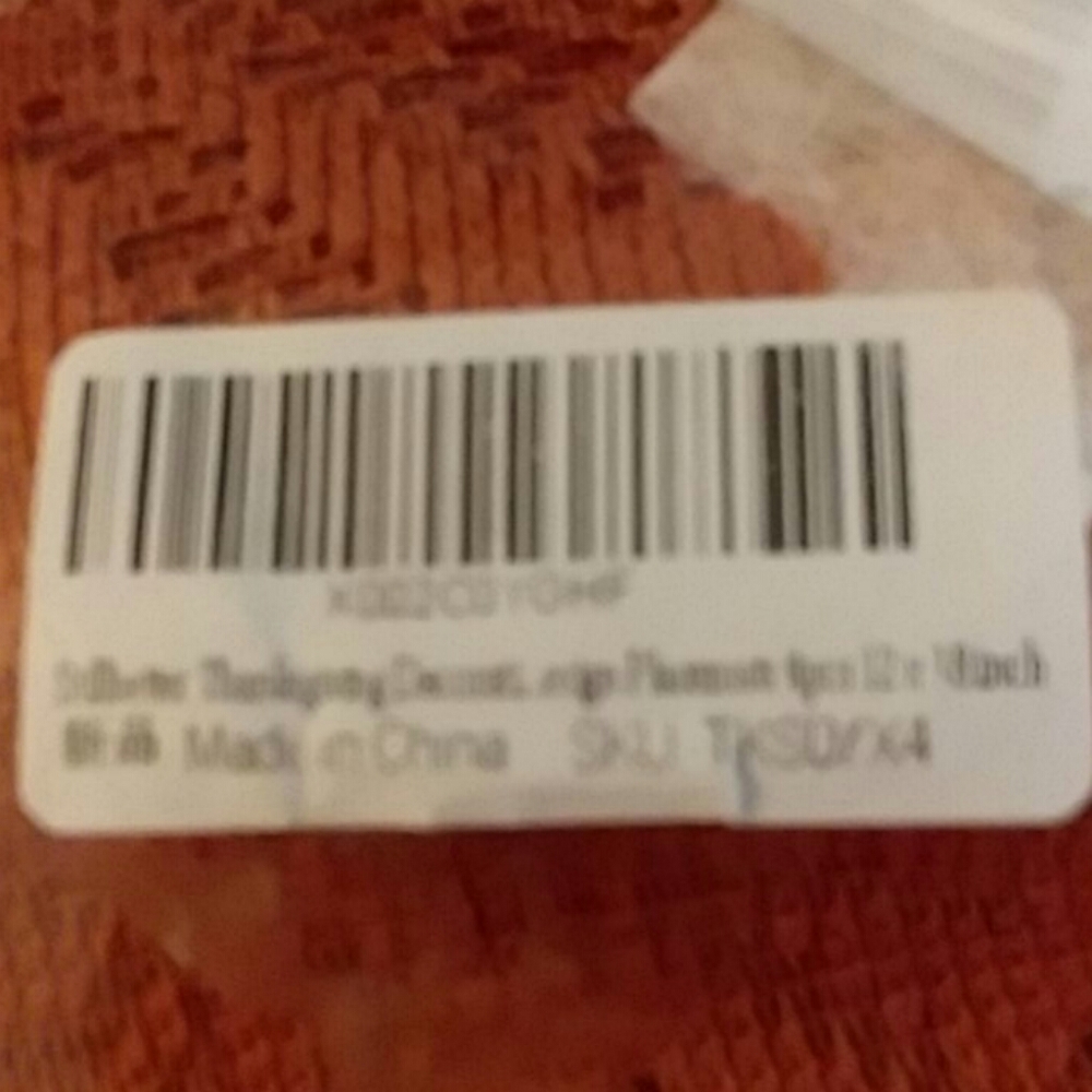 Fall Decorations - Picture 6 of 9